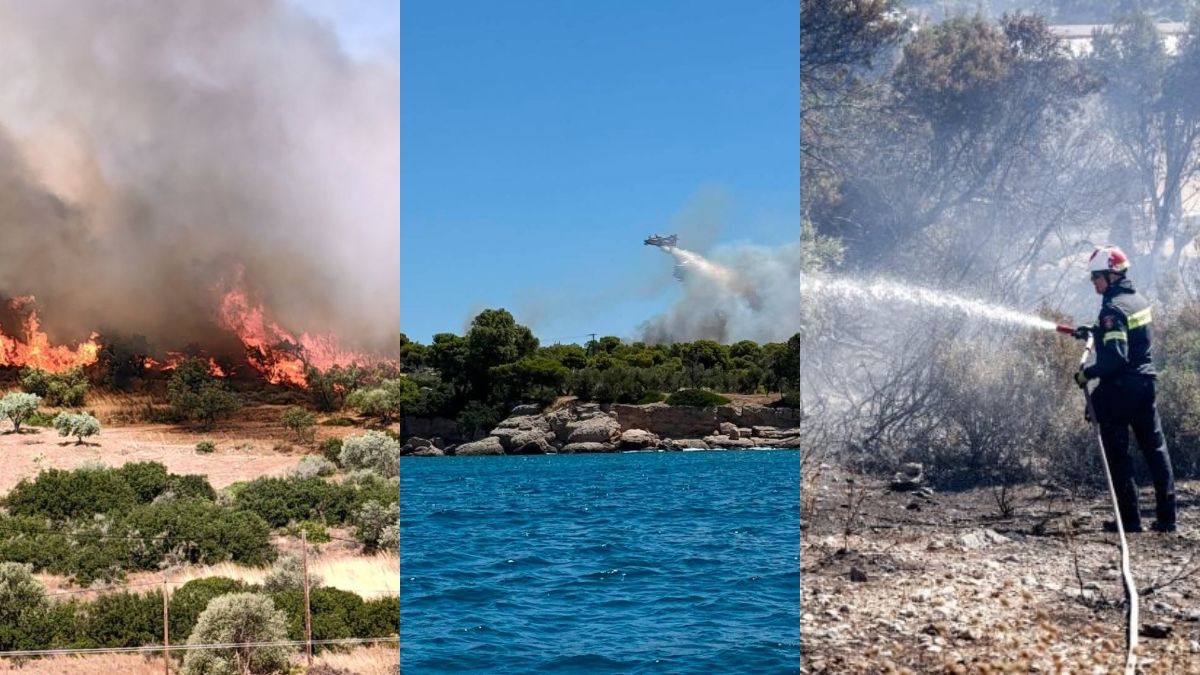 Πύρινος κλοιός σε Βοιωτία, Αργολίδα και Αχαΐα – Μπαράζ εκκενώσεων, μηνύματα από το «112» και μάχη με τους ανέμους
