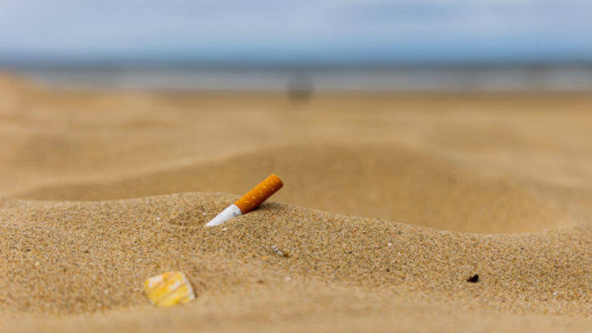 Τα πλαστικά κυριαρχούν στις ελληνικές ακτές: ανησυχητικά ευρήματα πενταετούς παρακολούθησης