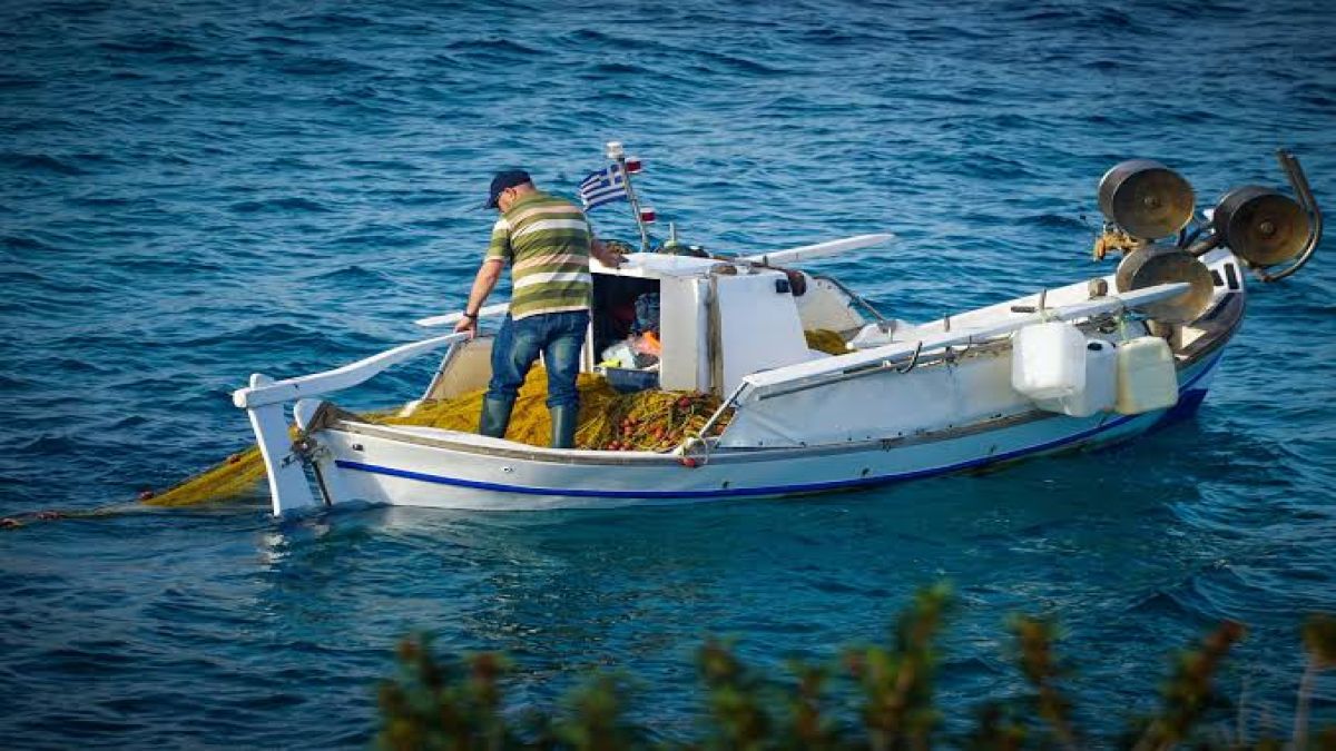 Στο «μικροσκόπιο» οι έλεγχοι στη Θεσσαλονίκη – Κατασχέθηκαν εκατοντάδες κιλά σαρδέλες