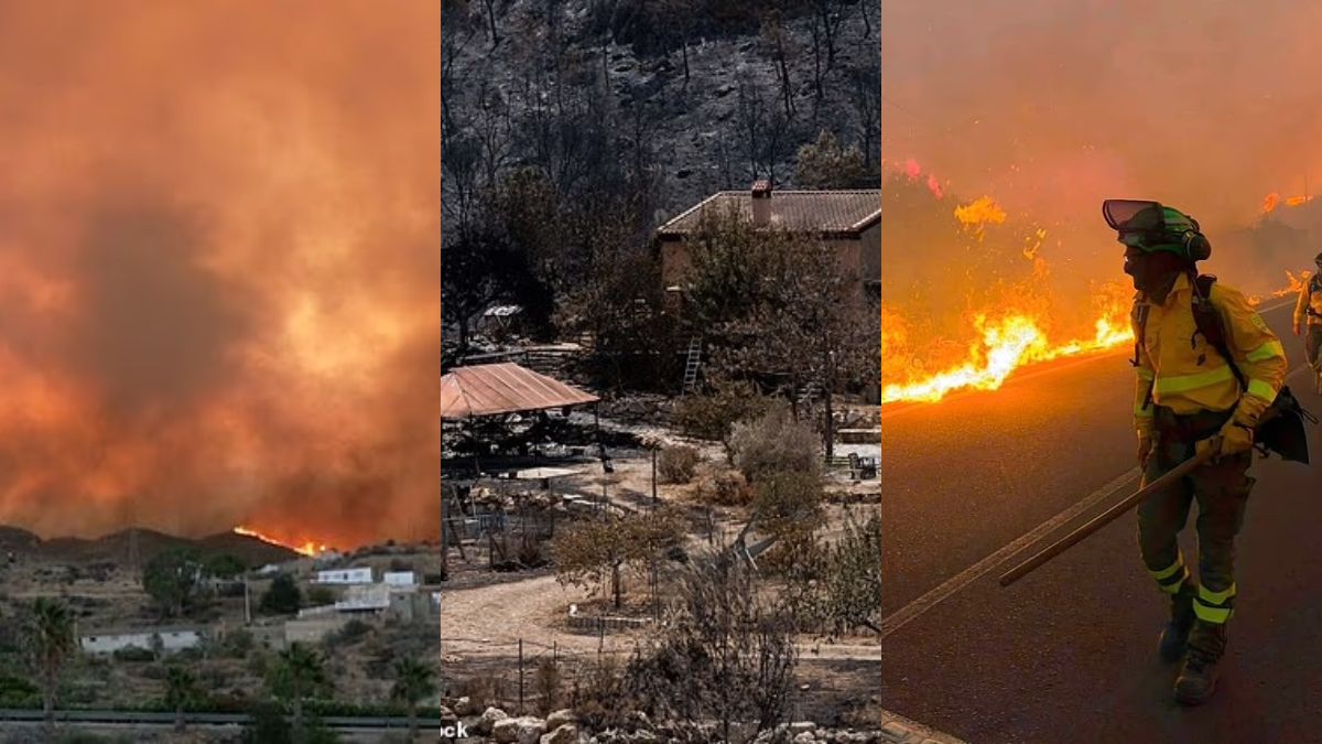 «Ήταν κάτι που δεν θα μπορούσες ποτέ να φανταστείς»: Το βάρος της επιβίωσης