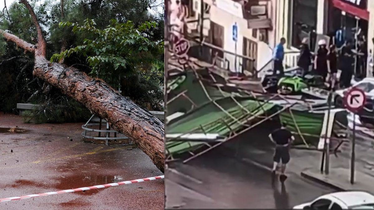 Κακοκαιρία στην Αττική: Έπεσε δέντρο στο Ίλιον πάνω σε ταξί  – Πτώση σκαλωσιάς στον Πειραιά [βίντεο]