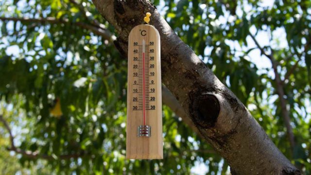 Σαν σήμερα 17 Ιουλίου 1973: Η μέρα που η Ελλάδα «έλιωσε» στους 46,5°C