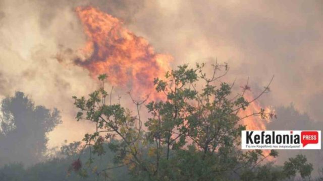 Πύρινη νύχτα στην Κεφαλονιά: Διαδοχικά μηνύματα του 112 για εκκενώσεις