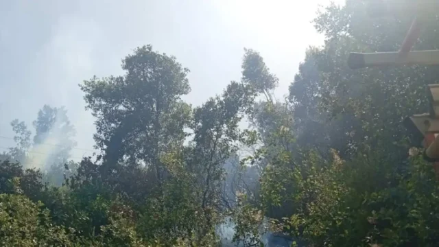 Συναγερμός στο Αγρίνιο: Μεγάλη κινητοποίηση της Πυροσβεστικής για φωτιά στο Άνω Κεράσοβο