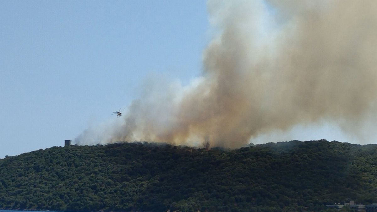 Φωτιά στον Αγερανό Λακωνίας – Μεγάλη κινητοποίηση της Πυροσβεστικής, μήνυμα 112 για ετοιμότητα