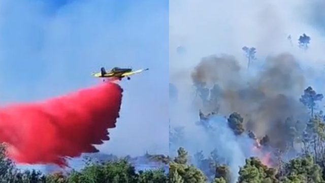 Φωτιά στην Οινόη: Γιγαντιαία επιχείρηση με 155 πυροσβέστες και 22 εναέρια μέσα – Απομακρύνονται οι κάτοικοι από τα σπίτια [βίντεο]