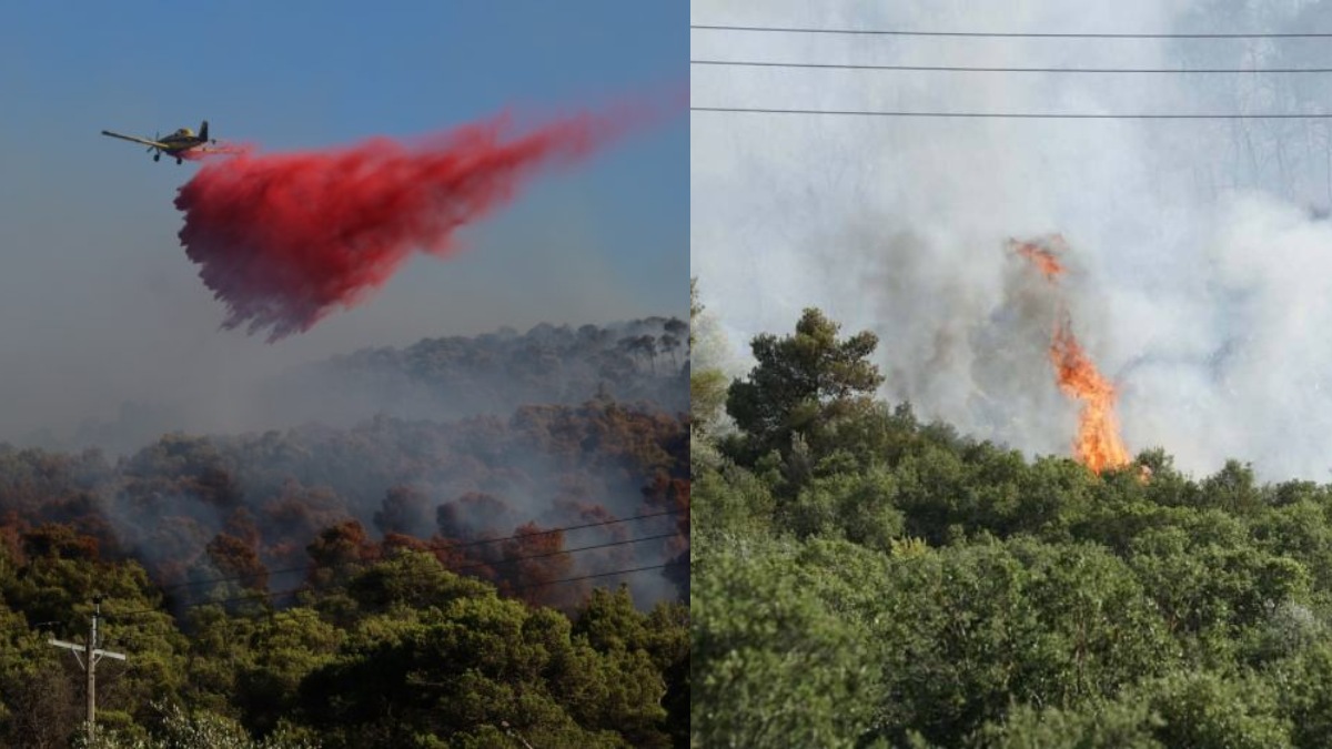 Καλύτερη η εικόνα από την φωτιά στην Οινόη: Επιχειρούν  210 πυροσβέστες – Συγκλονίζουν τα βίντεο από το σημείο