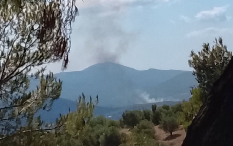 Ισχυρές πυροσβεστικές δυνάμεις δίνουν μάχη για να περιορίσουν το πύρινο μέτωπο που ξέσπασε το μεσημέρι στην περιοχή του Αγίου Κωνσταντίνου στην Οινόη.