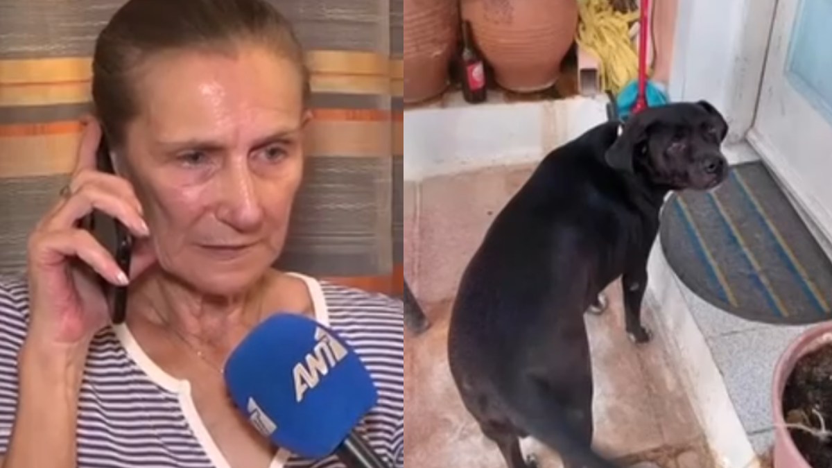 Εξελίξεις στα Πετράλωνα: Ξεσπάει η ένοικος της πολυκατοικίας που είχε τον σκύλο της μέσα – « Δεν με ενημέρωσε κανείς»