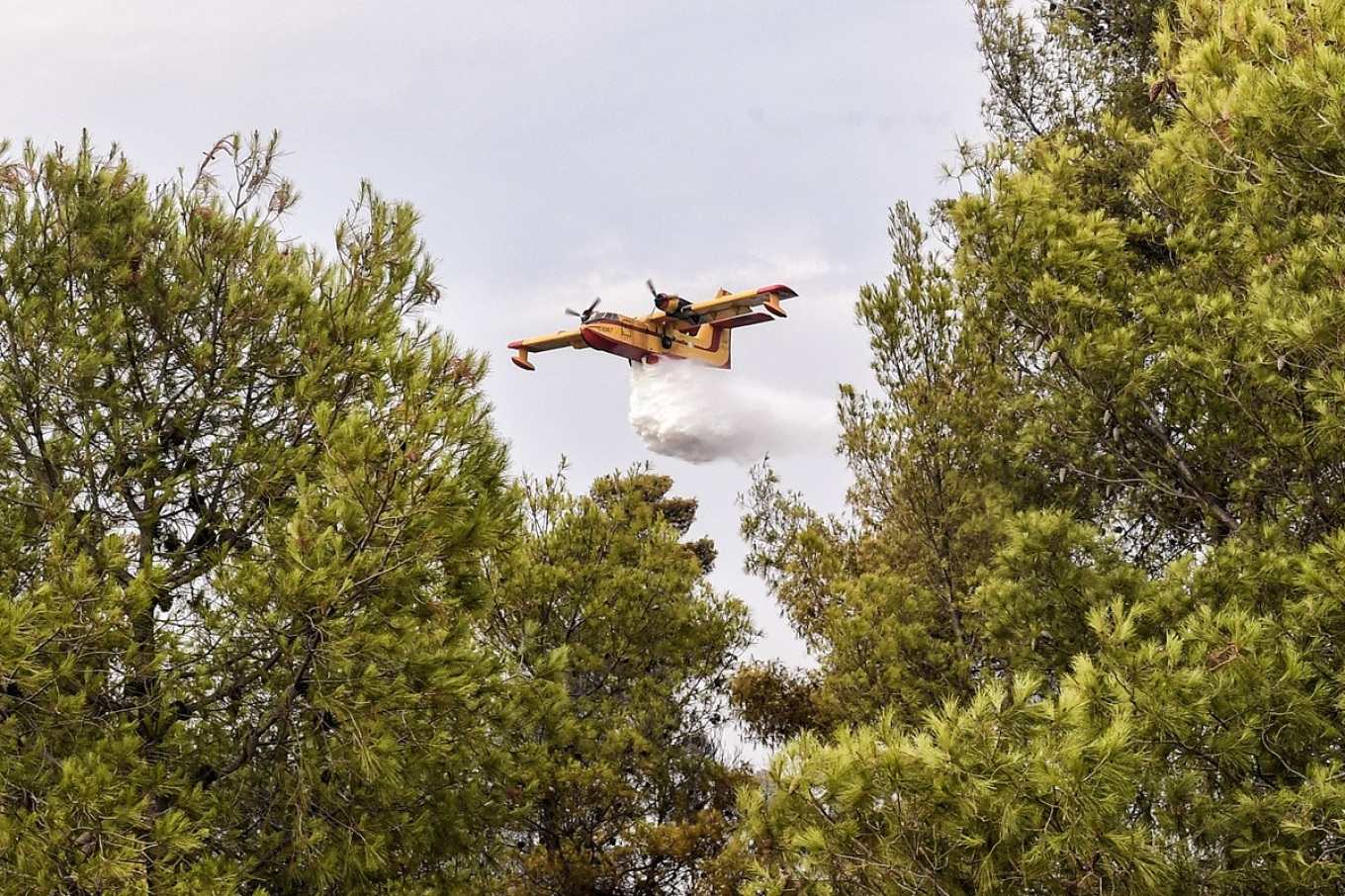Μεγάλη αγροτοδασική πυρκαγιά ξέσπασε το μεσημέρι της Πέμπτης στην περιοχή Στρογγυλή στην Άρτα, κινητοποιώντας ισχυρές επίγειες και εναέριες δυνάμεις της Πυροσβεστικής.