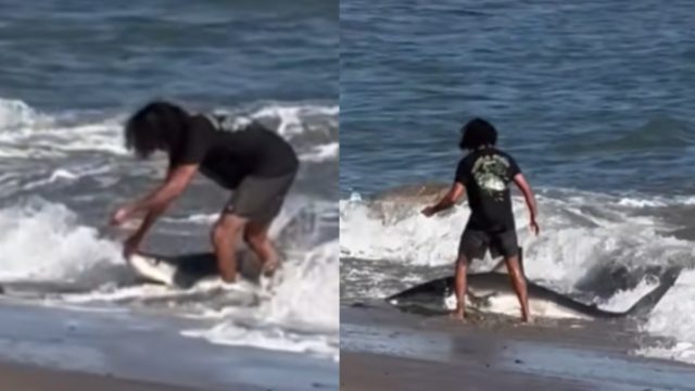 Viral βίντεο: Ψαράς έπιασε λευκό καρχαρία στο αγκίστρι του – Όλοι οι λουόμενοι κοιτούσαν την προσπάθεια του να τον ρίξει πίσω στο νερό