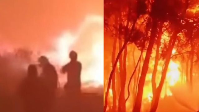 Εφιαλτική νύχτα σε Ρέθυμνο και Σητεία: Ώρες αγωνίας στην Αγία Γαλήνη, δίνουν μάχη οι δασοκομάντος – Φωτογραφίες από την μεγάλη εκκένωση