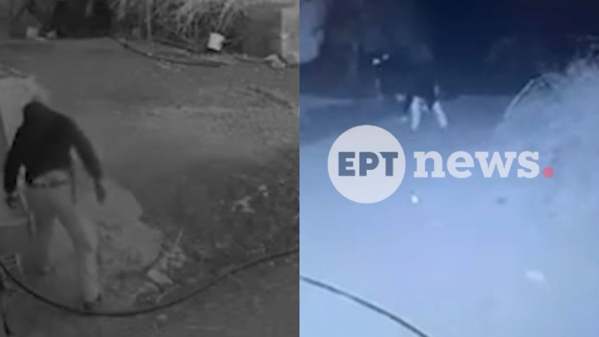 Ρέθυμνο: Βίντεο από την άγρια επίθεση στον 69χρονο κτηνοτρόφο – Σοκάρει αυτό που έκανε ο δράστης