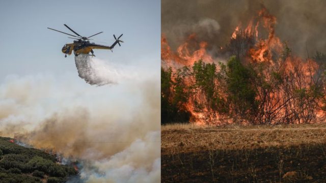 «Κραυγή αγωνίας» στο Ρέθυμνο: «Η φωτιά ειναι ανεξέλεγκτη – Δεν υπάρχουν εναέρια μέσα», λέει ο δήμαρχος της περιοχής – Βίντεο και εικόνες
