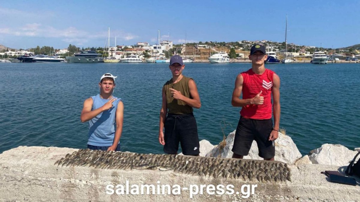 Νεαροί πιάνουν 312 λαγοκέφαλους στην Σαλαμίνα