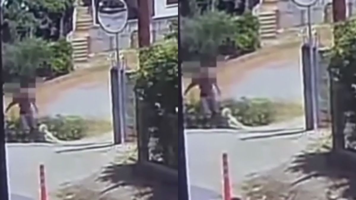 Σοκ στο Άστρος: Νεκρός σκύλος βρέθηκε σε κάδο – Βίντεο δείχνει άνδρα να τον σέρνει με σύρμα στον λαιμό