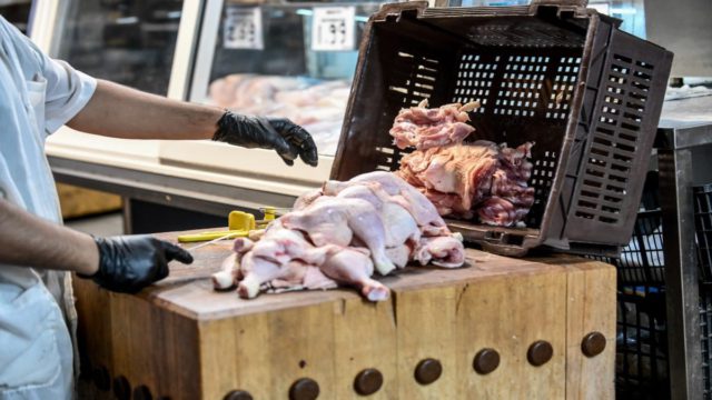 Συναγερμός για τη σαλμονέλα στη Λαμία: Τα συμπτώματα που απαιτούν προσοχή – Πώς μεταδίδεται, ποιοι κινδυνεύουν περισσότερο