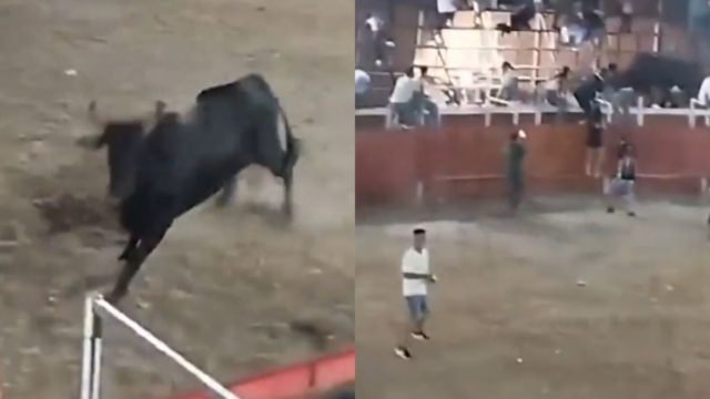 Πανικός στην Κολομβία: Ταύρος πήδηξε στις εξέδρες και σκόρπισε τον τρόμο – Βίντεο σοκ