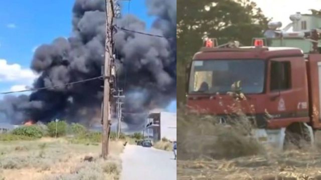 Φωτιά στην Θεσσαλονίκη: Σύλληψη 70χρονου με τσουχτερό πρόστιμο – Η κίνηση που έκανε και ξεκίνησε την πυρκαγιά στο Καλοχώρι