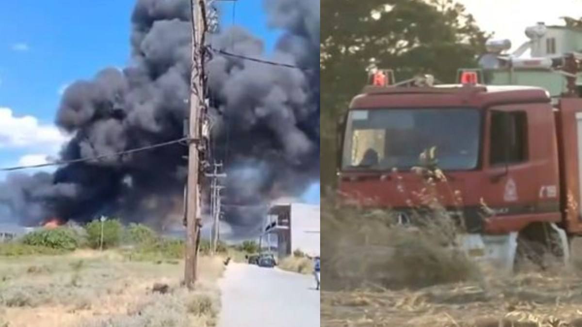 Φωτιά στην Θεσσαλονίκη: Σύλληψη 70χρονου με τσουχτερό πρόστιμο – Η κίνηση που έκανε και ξεκίνησε την πυρκαγιά στο Καλοχώρι