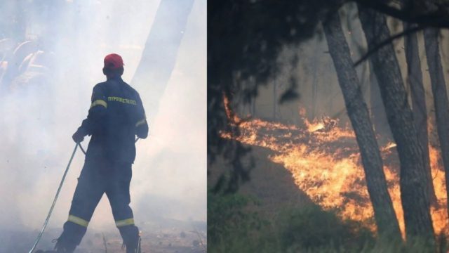 Δραματική η κατάσταση στην Χαλκιδική: «Καίγονται σπίτια» λένε αντιδήμαρχοι