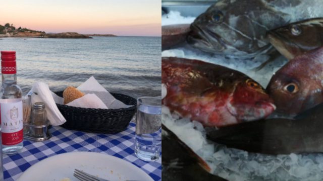 Κέκρωψ: Ο ιδανικός προορισμός για ποιοτικό θαλασσινό φαγητό στην Αγία Μαρίνα