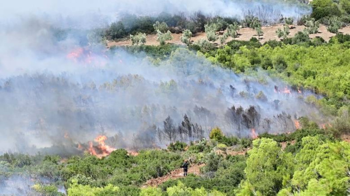 Πυρκαγιά στη Λακωνία: Ισχυρές επίγειες και εναέριες δυνάμεις στο σημείο