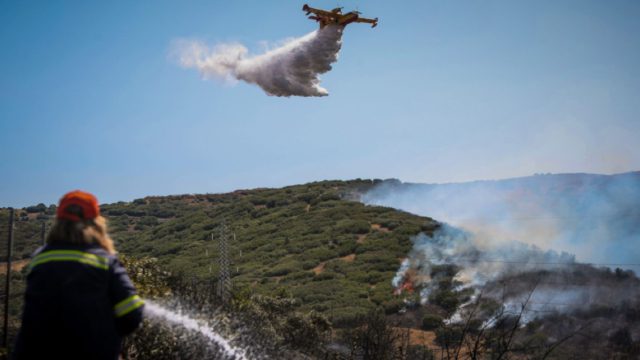 Σταμάτα: Έστησε μπάρμπεκιου ενώ ο κίνδυνος πυρκαγιάς ήταν υψηλός – Πάνω από 280 συλλήψεις από την αρχή του έτους