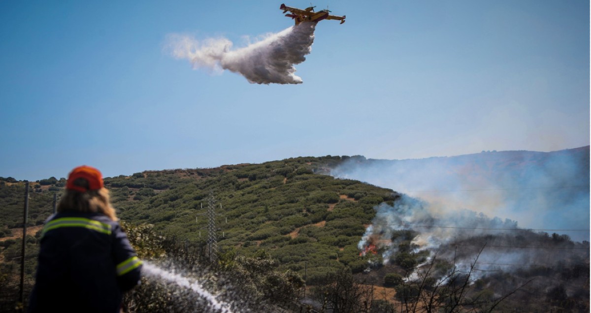 Σταμάτα: Έστησε μπάρμπεκιου ενώ ο κίνδυνος πυρκαγιάς ήταν υψηλός – Πάνω από 280 συλλήψεις από την αρχή του έτους