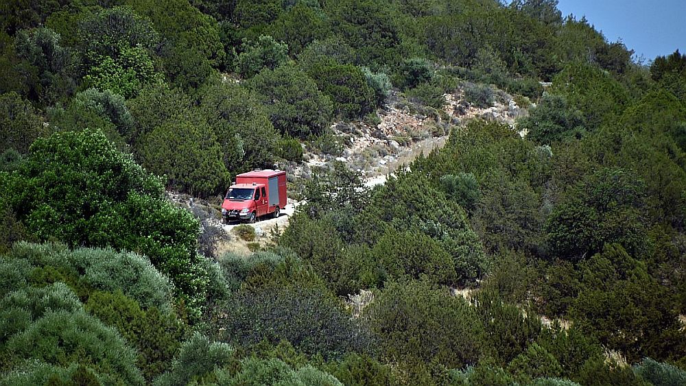 Φρίκη στο Ναύπλιο: «Έδειραν, μαχαίρωσαν και έθαψαν κάτω από τα δέντρα τον 59χρονο ψυχολόγο» – Οι αποκαλύψεις της ΕΛ.ΑΣ. και το μακάβριο blame game των 20χρονων Ινδών