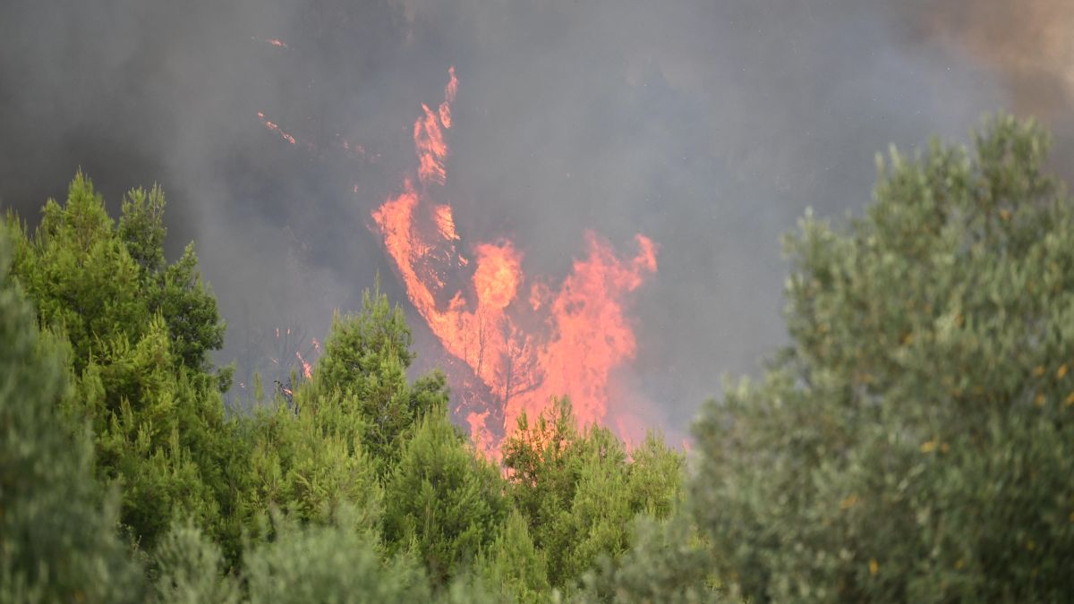 Συναγερμός στον Κουβαρά: Ισχυρή πυρκαγιά στην Αττική – Ήχησε το 112, τεράστια κινητοποίηση της Πυροσβεστικής