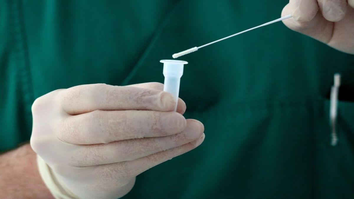 Νέα ερευνητική προσπάθεια από το Πανεπιστήμιο Αθηνών για τον ιό του Δυτικού Νείλου