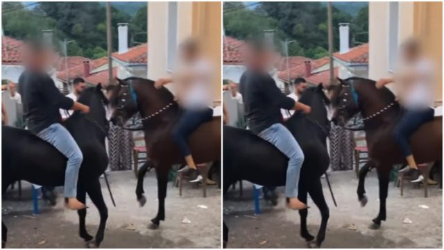 Σάλος στη Λέσβο: Άλογα χορεύουν πάνω σε σπασμένα μπουκάλια – Σφοδρές αντιδράσεις για το έθιμο ( VIDEO)