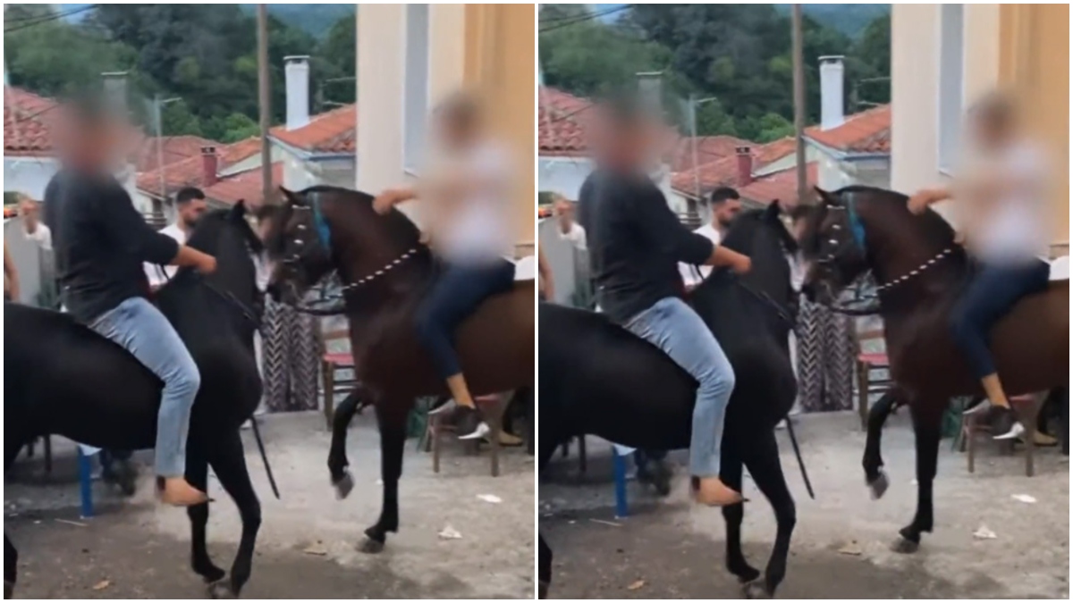 Σάλος στη Λέσβο: Άλογα χορεύουν πάνω σε σπασμένα μπουκάλια – Σφοδρές αντιδράσεις για το έθιμο ( VIDEO)