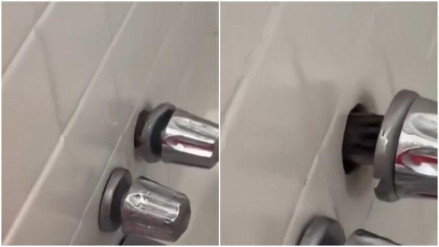 Ένα απλό μπάνιο πήγε να κάνει και  είχε την πιο απρόσμενη επίσκεψη! Και όχι δεν ήταν κατσαρίδα