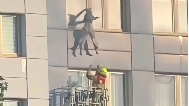 Συγκλονιστική διάσωση στο Βερολίνο: Πυροσβέστης άρπαξε γυναίκα πριν πέσει στο κενό