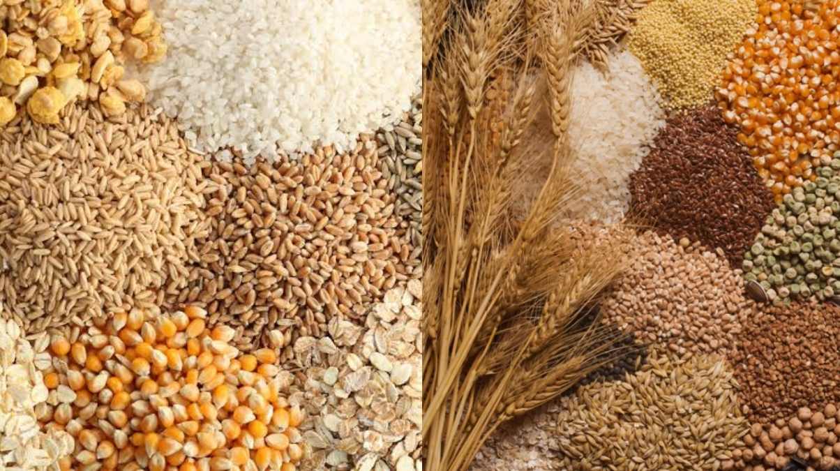Δεν είναι όλα τα δημητριακά ίδια: Η επιλογή που κάνει τη διαφορά στην υγεία