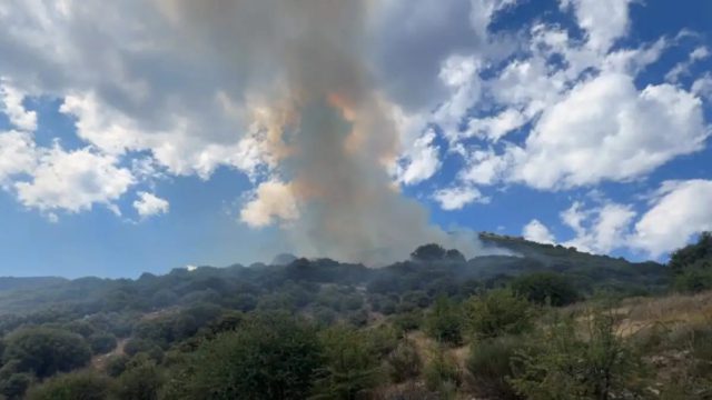Φωτιά στη Λαμπεία Ηλείας: 7 αεροσκάφη στη μάχη με τις φλόγες