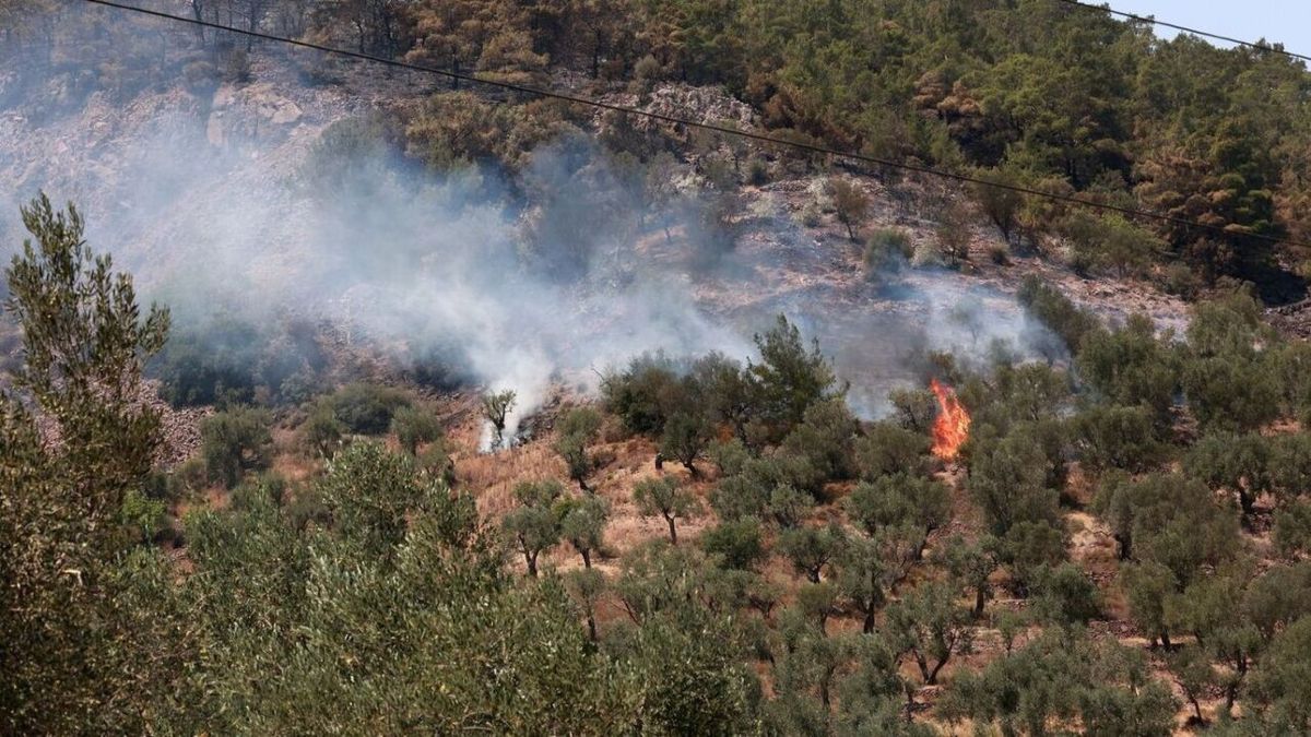 Φωτιά τώρα στη Μακύνεια Ναυπακτίας: Εκκενώνεται η περιοχή με 112 – Μεγάλη επιχείρηση από γη και αέρα