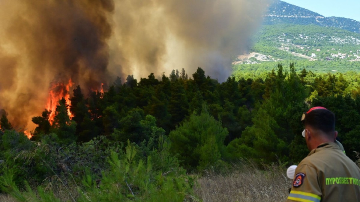 Κόνιτσα: Πυρκαγιά σε δύσβατη δασική περιοχή – Επιχειρεί ελικόπτερο