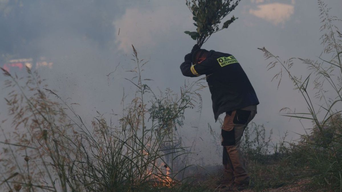 Φωτιά στον Σολομό Κορινθίας: Μεγάλη κινητοποίηση της Πυροσβεστικής – Προβλήματα στην Ε.Ο.