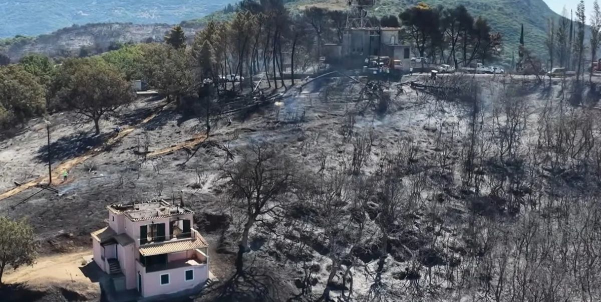 Φωτιά στη Φωκίδα: Σοκάρουν οι εικόνες από ψηλά – Το drone αποκαλύπτει το μέγεθος της καταστροφής στη Δωρίδα