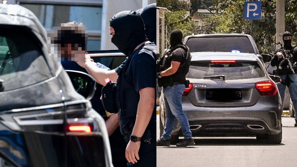 «Λερναία Ύδρα» η Greek Μafia: Ποιος κρύβεται πίσω από τον «Έντικ» και πως στρατολογούν άτομα
