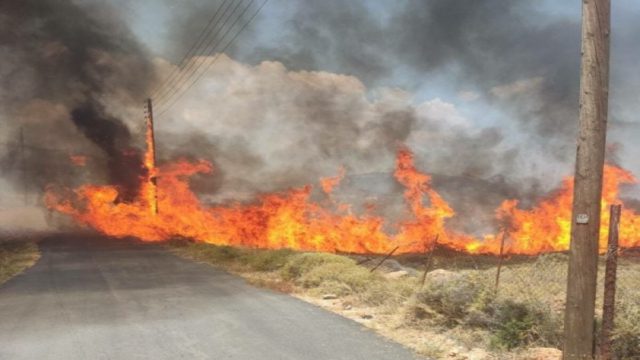 Φωτιά τώρα σε Γαστούνη και Κοττέικα Ηλείας: Ενισχύθηκαν οι δυνάμεις της Πυροσβεστικής – 100 πυροσβέστες και 8 εναέρια μέσα