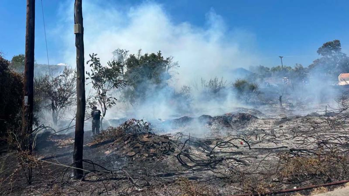 Φωτιά τώρα στον Γέρακα: Συναγερμός κοντά στην Αττική Οδό – Σηκώθηκαν 4 εναέρια