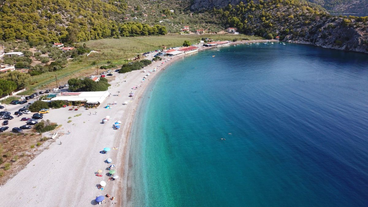 Τεράστιο ψάρι εμφανίστηκε στα ρηχά της Ψάθας – Τρόμαξαν οι λουόμενοι