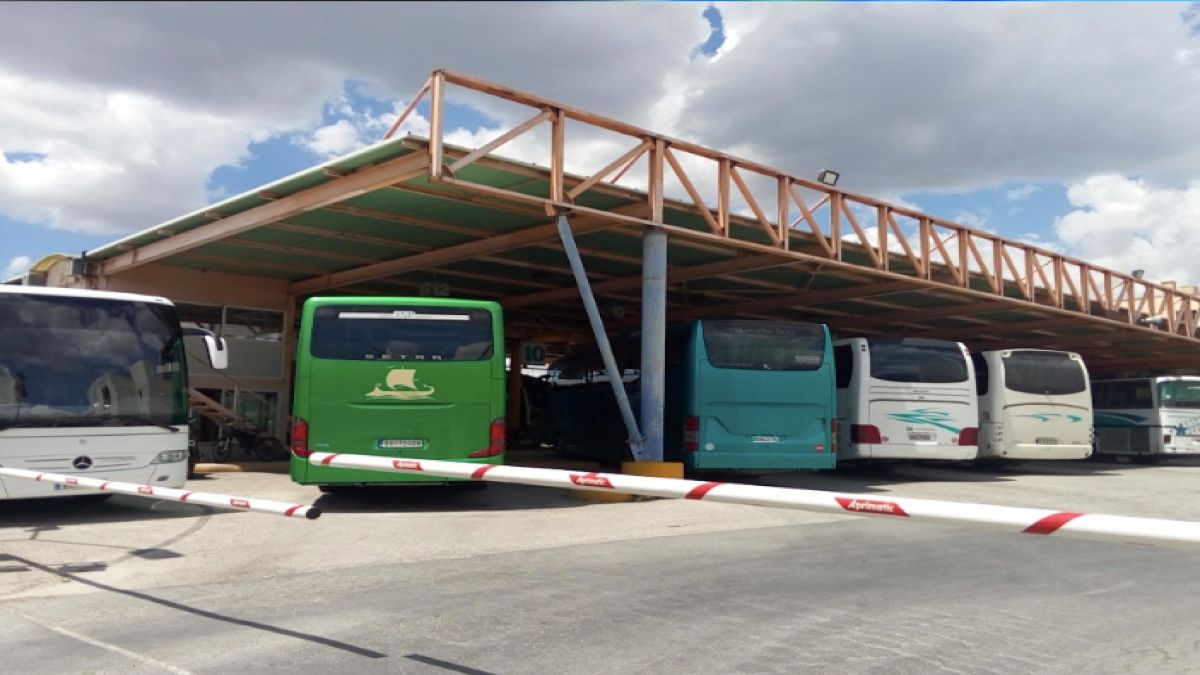 Βόλος–Αθήνα: Ζήτησαν από επιβάτιδα να βάλει τη γάτα στον διάδρομο – Η απάντηση του ΚΤΕΛ