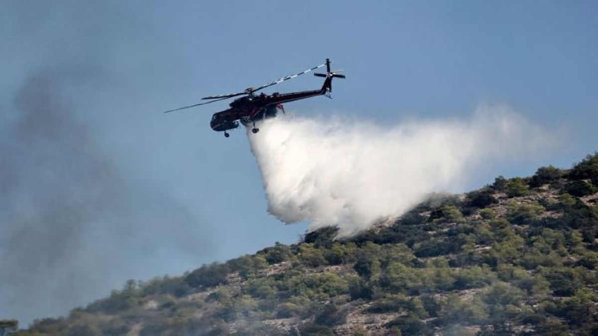Φωτιά τώρα σε δάσος στα Ανοιξιάτικα Χαλκιδικής – Μεγάλη κινητοποίηση της Πυροσβεστικής