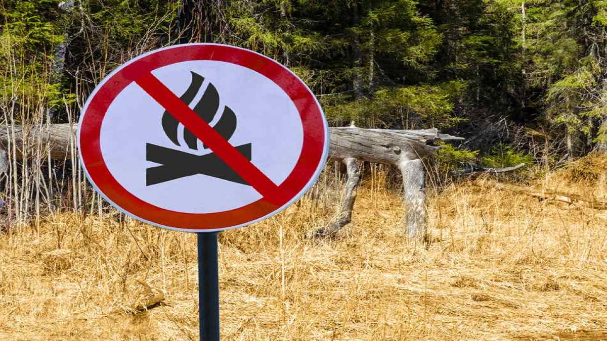 Χαλκιδική: Σε ποιες περιοχές απαγορεύεται η κυκλοφορία την Τρίτη