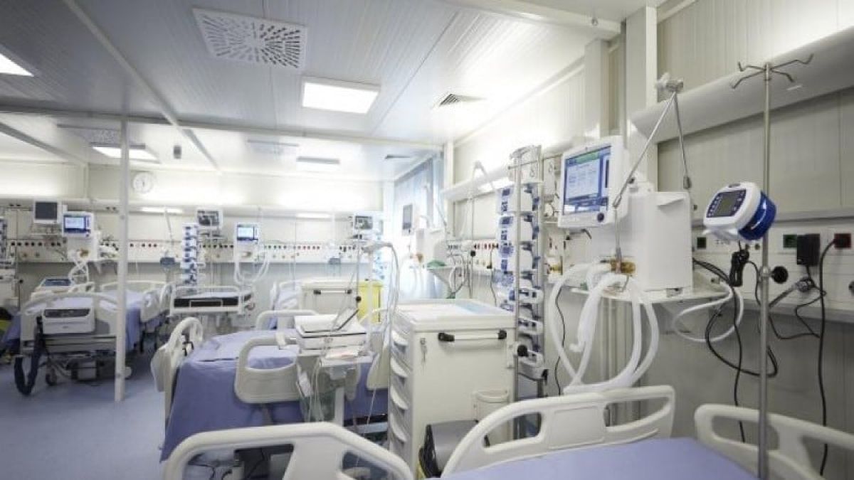 Σκορπιός «ταξίδεψε» από την Ελλάδα στη Γερμανία – Πώς εντοπίστηκε